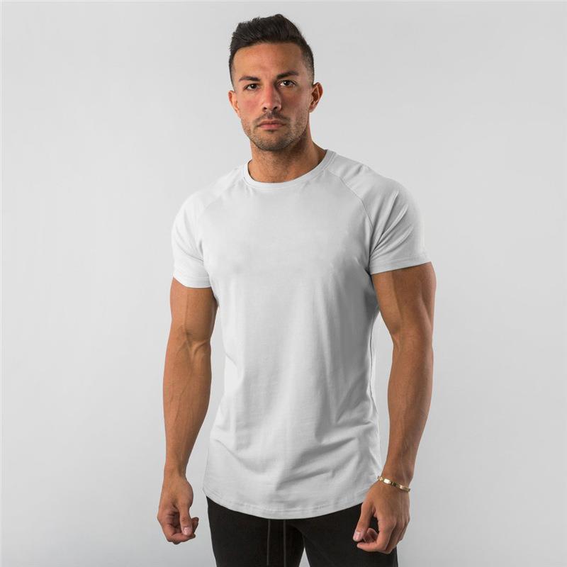 🔥🏃‍♂️✨ PROMO -50% ! T-shirt de Sport Respirant « Muscle Men Gentlemen » – Mélange Coton, Coupe Décontractée &amp; 6 Couleurs (M-3XL)