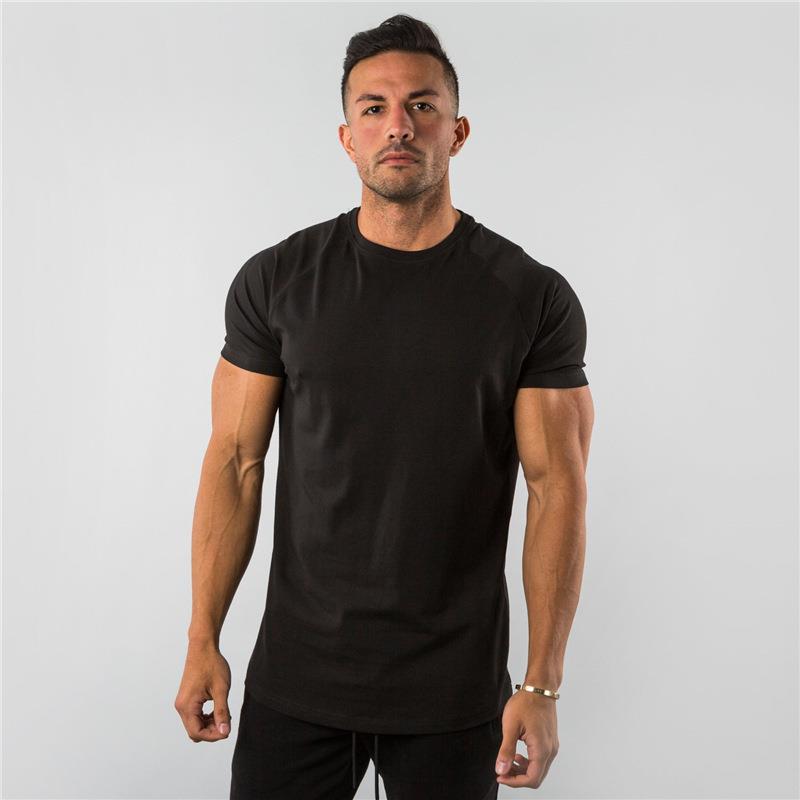 🔥🏃‍♂️✨ PROMO -50% ! T-shirt de Sport Respirant « Muscle Men Gentlemen » – Mélange Coton, Coupe Décontractée &amp; 6 Couleurs (M-3XL)